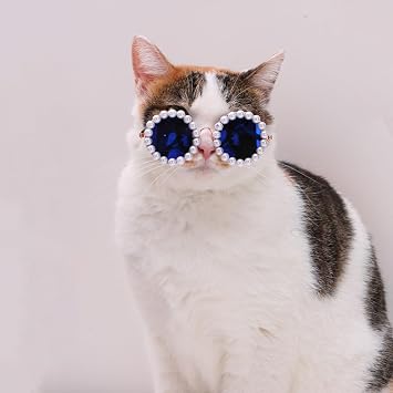 Cat/Dog Pearl Sunglasses - Funny Cute Dress Up Costume (Black,Medium) | Extravagant party styling, Photo props, Birthday shoots, Wedding looks, Holiday cards, Social media reels, Accessories