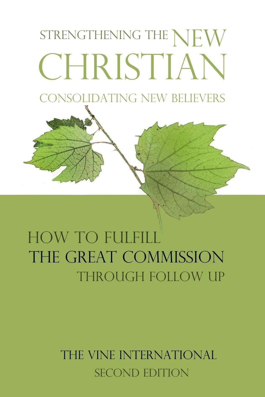 Strengthening the new Christian: Consolidating new believers: Volume 3 (The Vine International Basic Studies)
