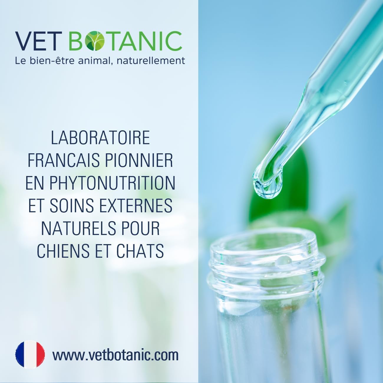 Terre de diatomée Chiens et Chats – Parasites externes Chiens et Chats (Poudre) - 100g