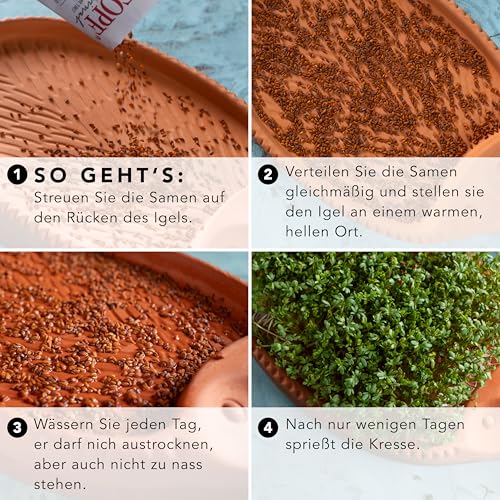 Römertopf Kresseigel aus naturreinem Ton, Kräutertier mit Kressesamen, ca. 24 x 14 cm, Kresseschale für Erde-lose Kressezucht, als Blumentopf nutzbar, spülmaschinengeeignet, ideal für Küche & Kinder