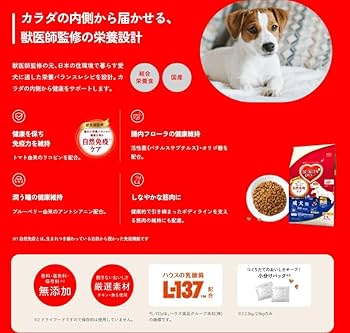 はぁとfull ドッグフード 3袋セット はぁとfull ドッグフード 3袋セット