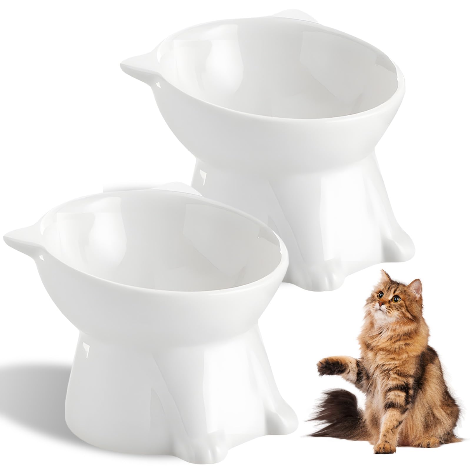 2 Pezzi Ciotole per Gatti Rialzate e Inclinate, Ciotola Acqua Gatto Inclinata di 15°,facile da Pulire,Base Stabile, Adatta a Gatti e Cani di Piccola Taglia(Bianco)