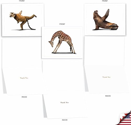 Miniatura 3 de The Best Card Company - 10 notas de agradecimiento en caja con sobres, varios artículos de papelería para decir gracias para hombres y mujeres - Zoo