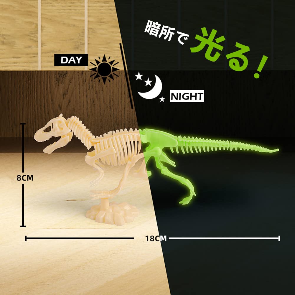 Amazon | L-Athna 化石発掘セット 恐竜骨化石発掘 夜光 組み立て DIY