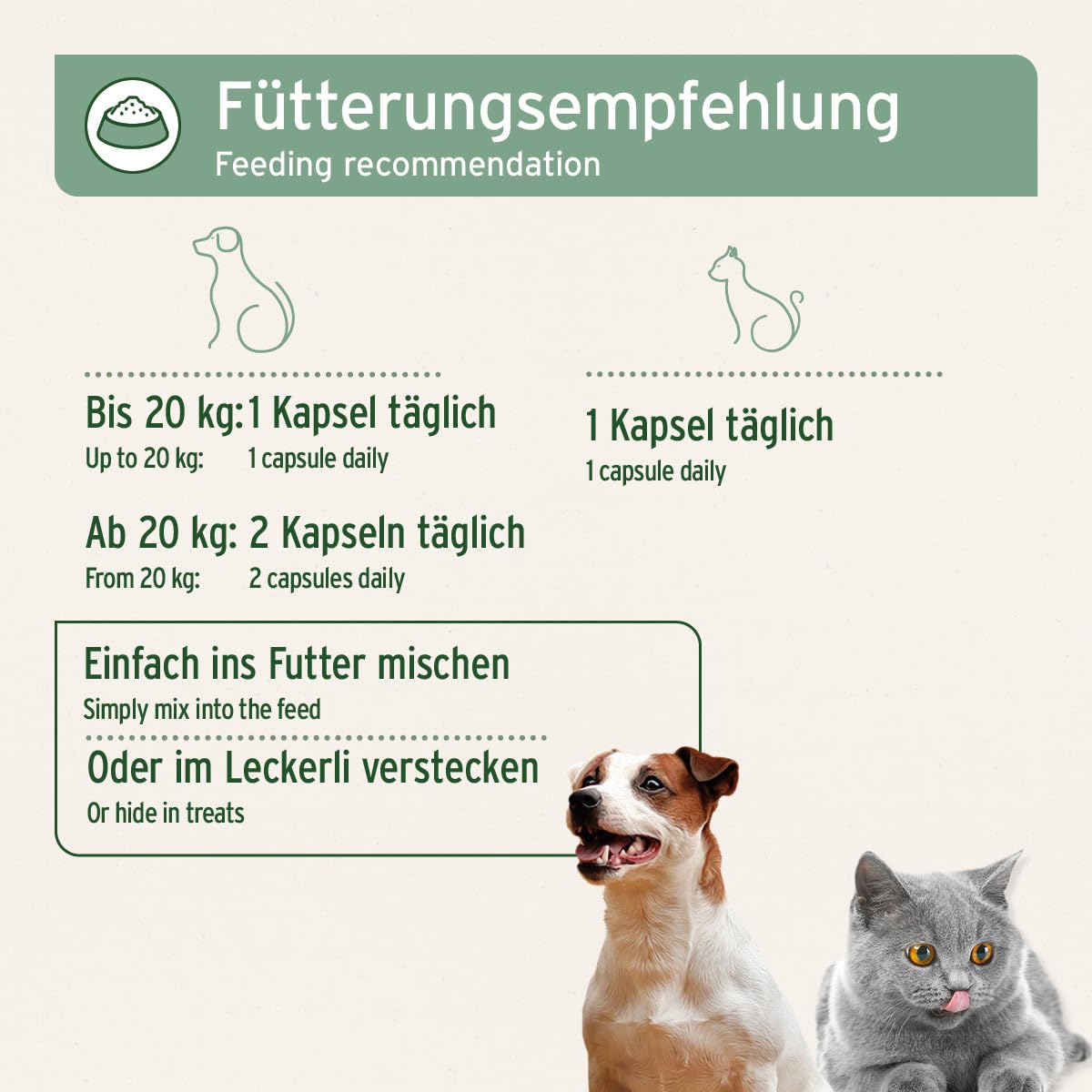 AniForte Omega 3 Lachsöl Kapseln für Hunde & Katzen 500 Stück – wertvolles Omega-3 Fischöl & Vitamine für Stoffwechsel, Knochenaufbau & glänzendes Fell