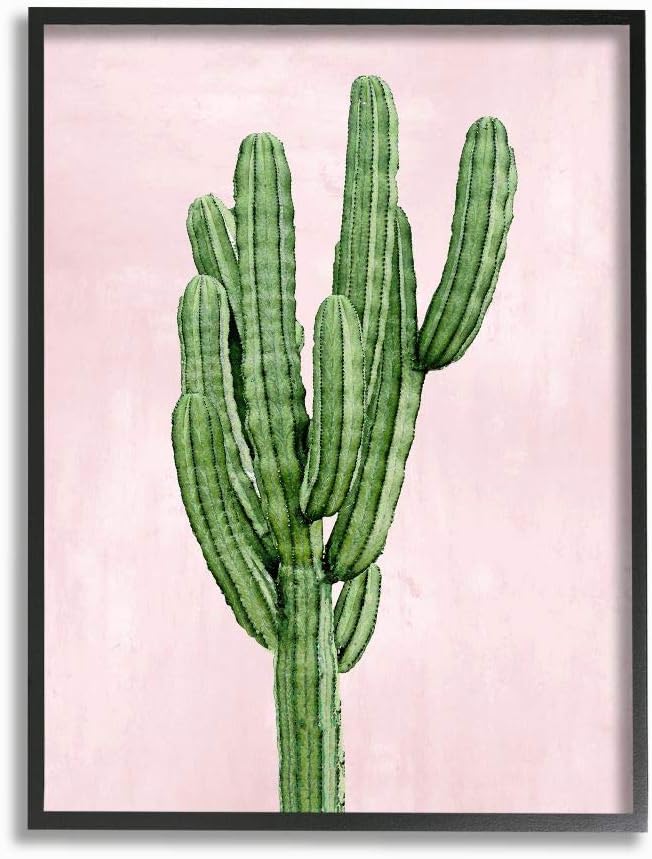 Stupell Industries Desert Cactus Plant Minimal Succulent Nature Pink Green, Designed by Mia Jensen Wall Art, 16 x 20, Black Framed