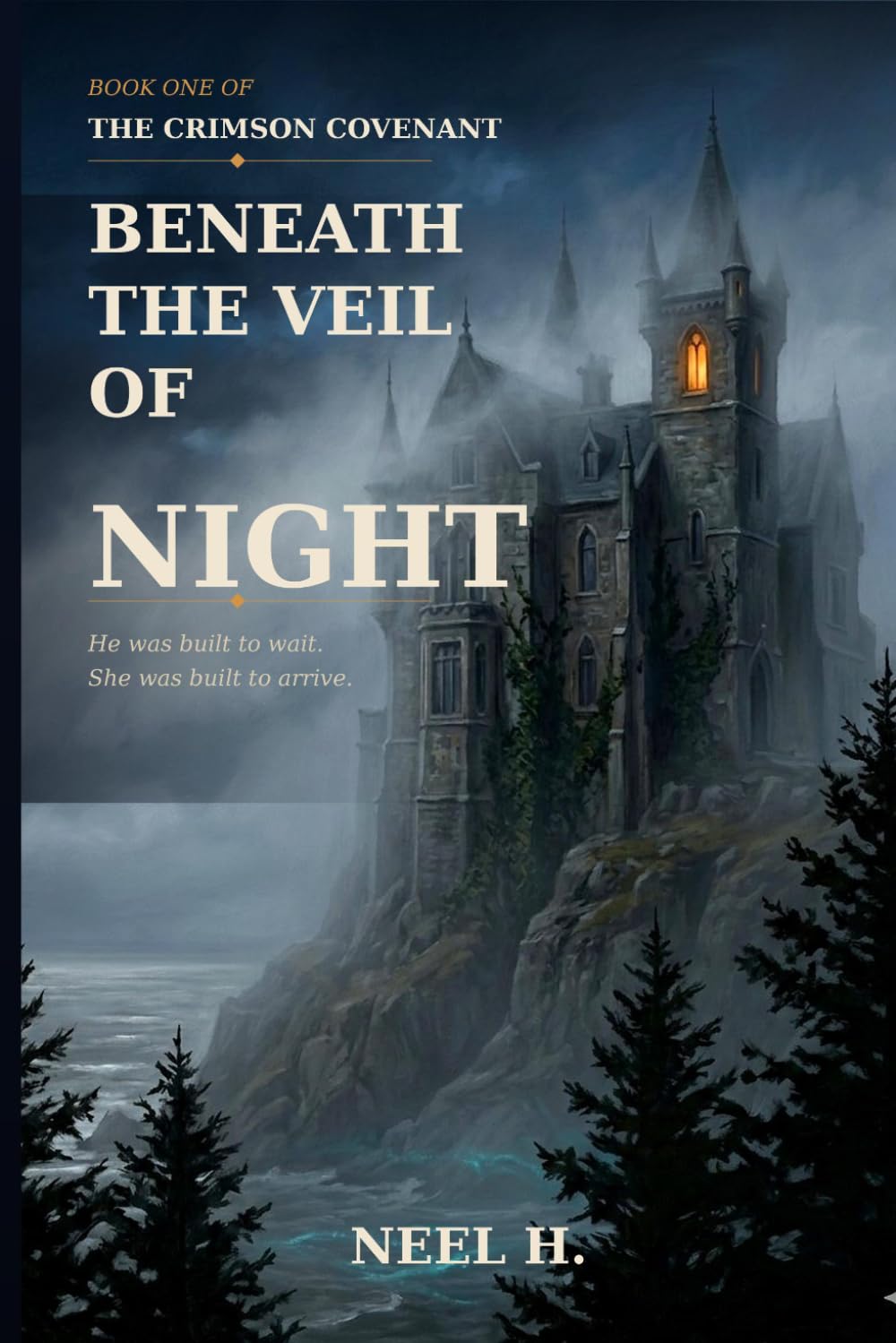Beneath the Veil of Night