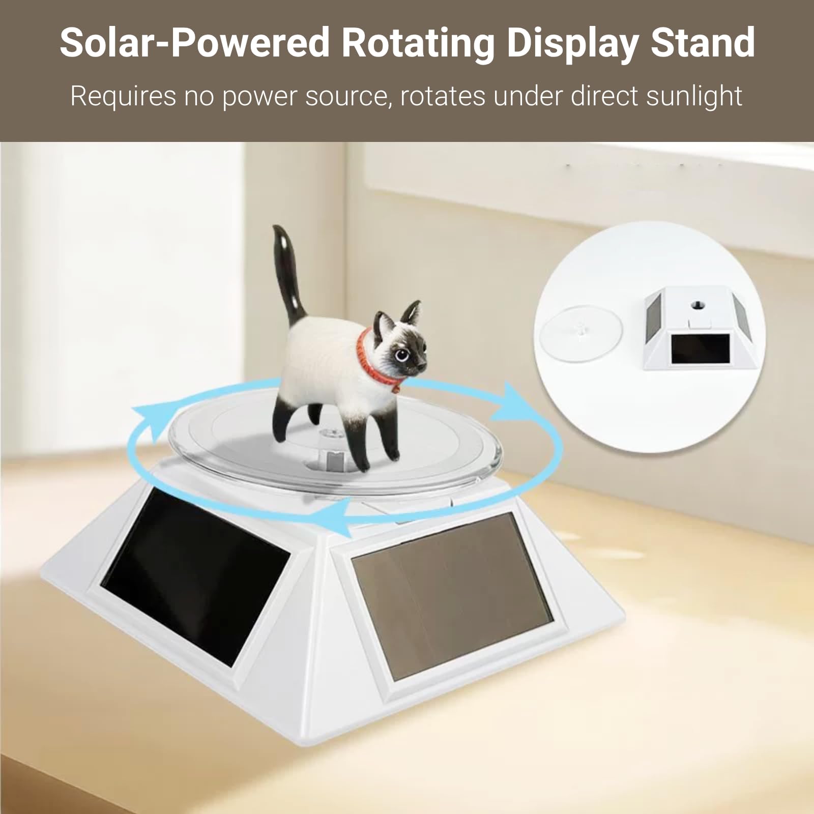 Modello Educativo Mulino a Solare, Mini Mulino a a energia Solare, Giocattolo Energie Rinnovabili per Bambini