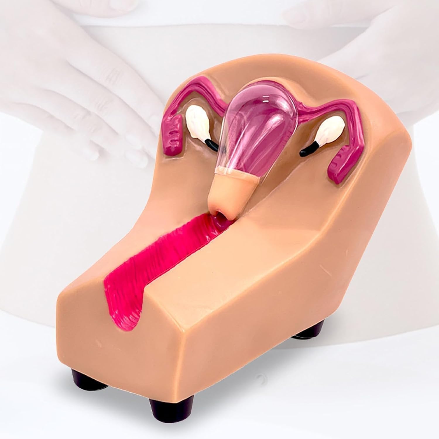 Modello di formazione sulla contraccezione intrauterina femminile - Simulatore di IUD for studenti infermieristici in ostetricia e ginecologia