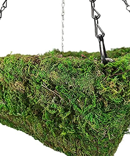 Panacea Natural Moss Square Hanging Baskets 14 Inch Green Planters with Chain and Liner, Pack of 2 Outdoor Hanging Plant Baskets for Flowers, Herbs and Garden Decorative Displays