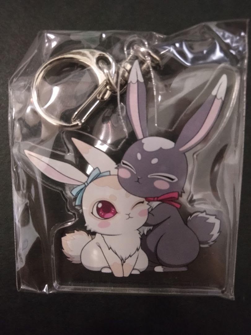 Amazon.co.jp: 魔道祖師 アクリルキーホルダー うさぎ 藍忘機 魏無羨