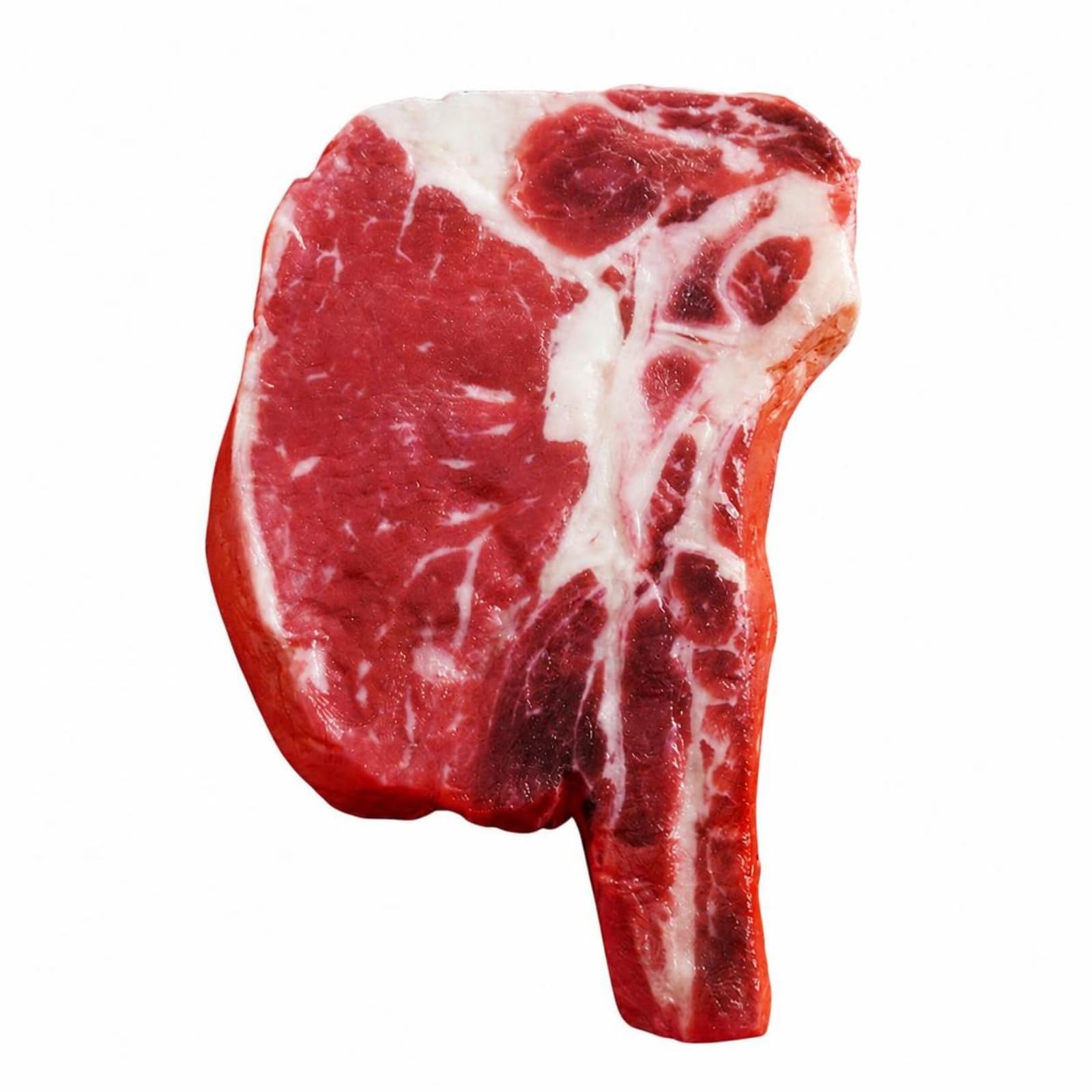 Steak Factice Léger Modèle an, Style to 2