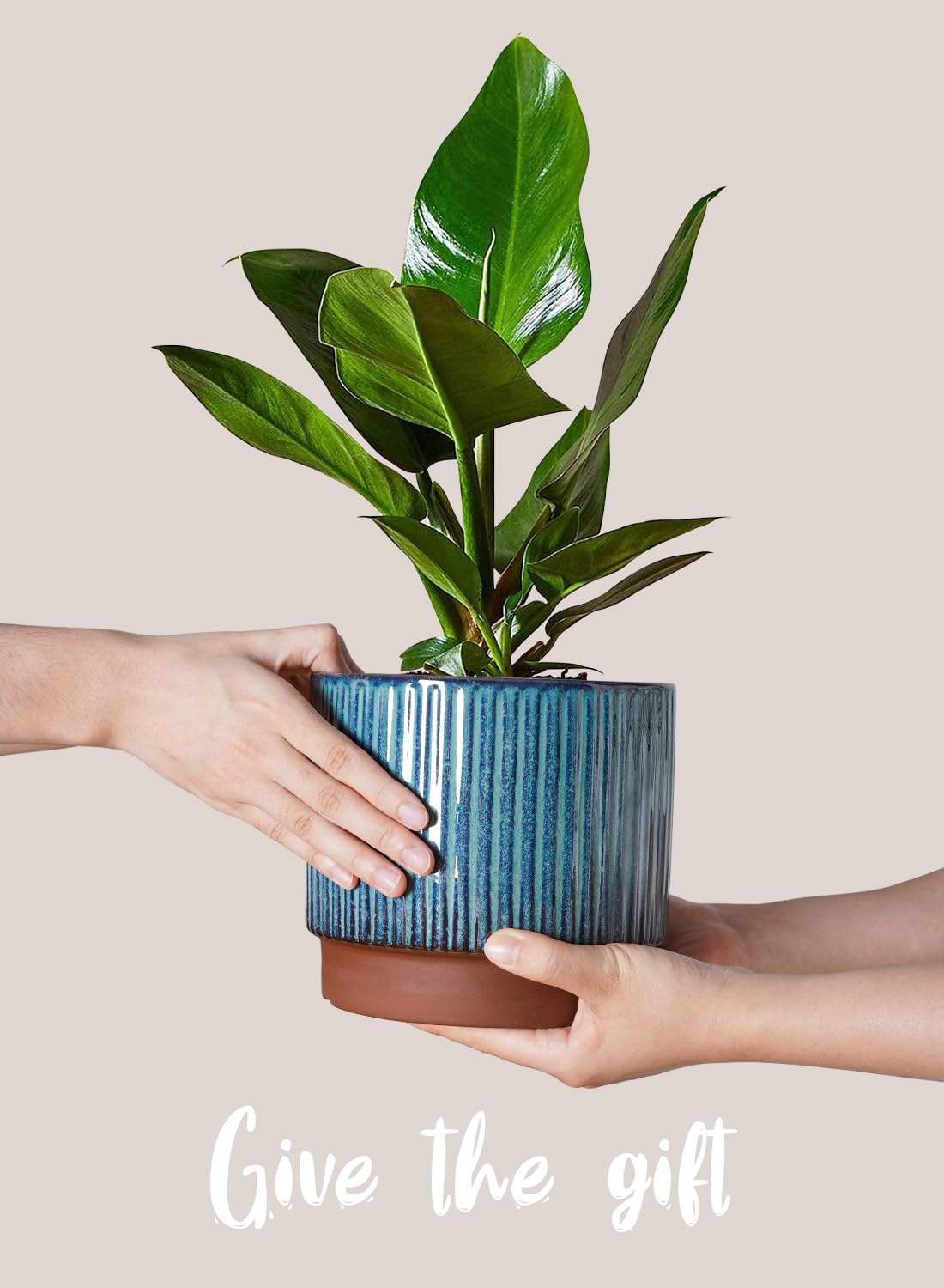 LE TAUCI Vasi per piante in ceramica, 20 + 16 + 14 cm con fori di drenaggio, uso interno/esterno, vasi da giardino a righe in stile moderno, verde smalto reattivo
