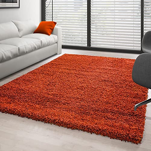 Tapis à poils longs terra d'une épaisseur de 3 cm pour un salon luxueux