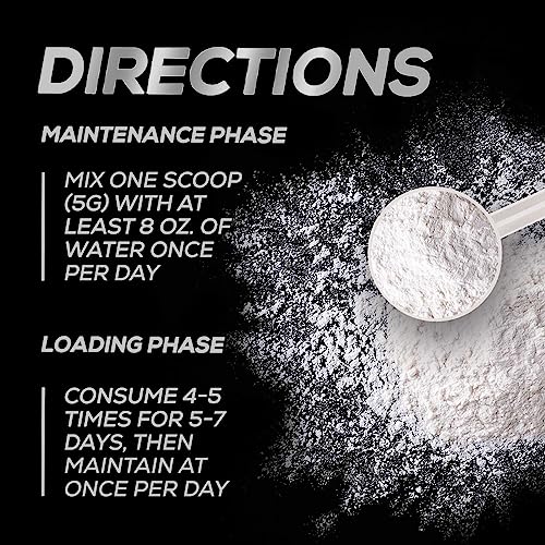 Creatine Monohydrate Powder - 100% Pure Micronized Creatine 5000Mg (5G) - Creatine Pre Workout, Supports Muscle Building, Cellular Energy, Recovery & Strength, Vegan, Keto, Gluten-Free - 60 Servings #TOP4