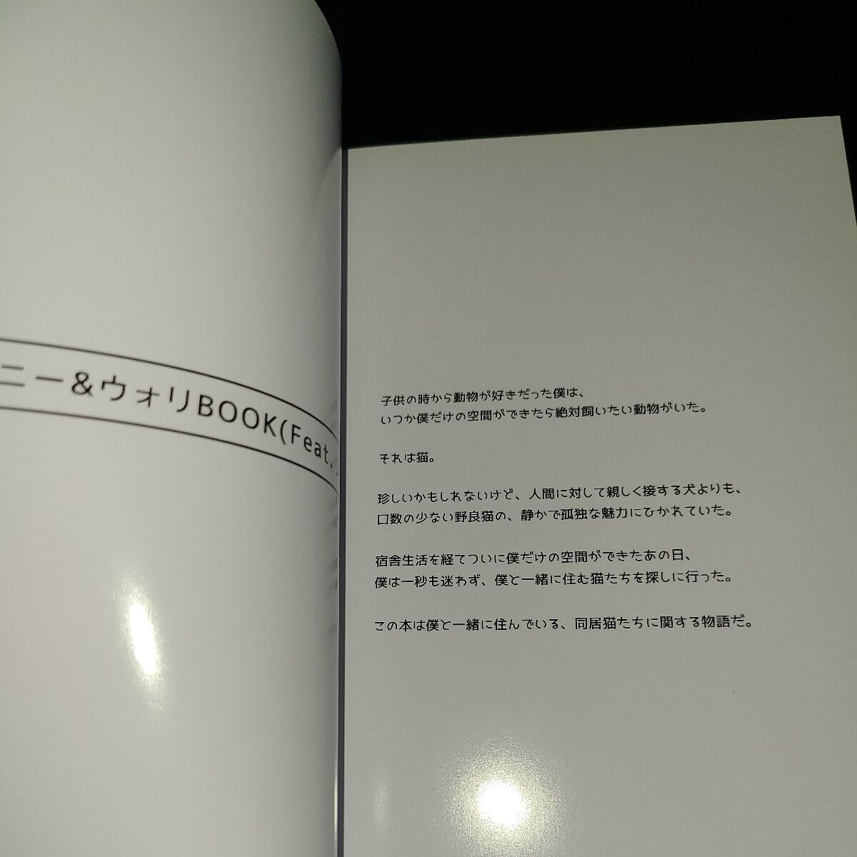 2PM ジュノ ジャニー＆ウォリᗷOOK Amazon.co.jp: 2PM ジャニー&ウォリBOOK（Feat.JUNHO）フォト