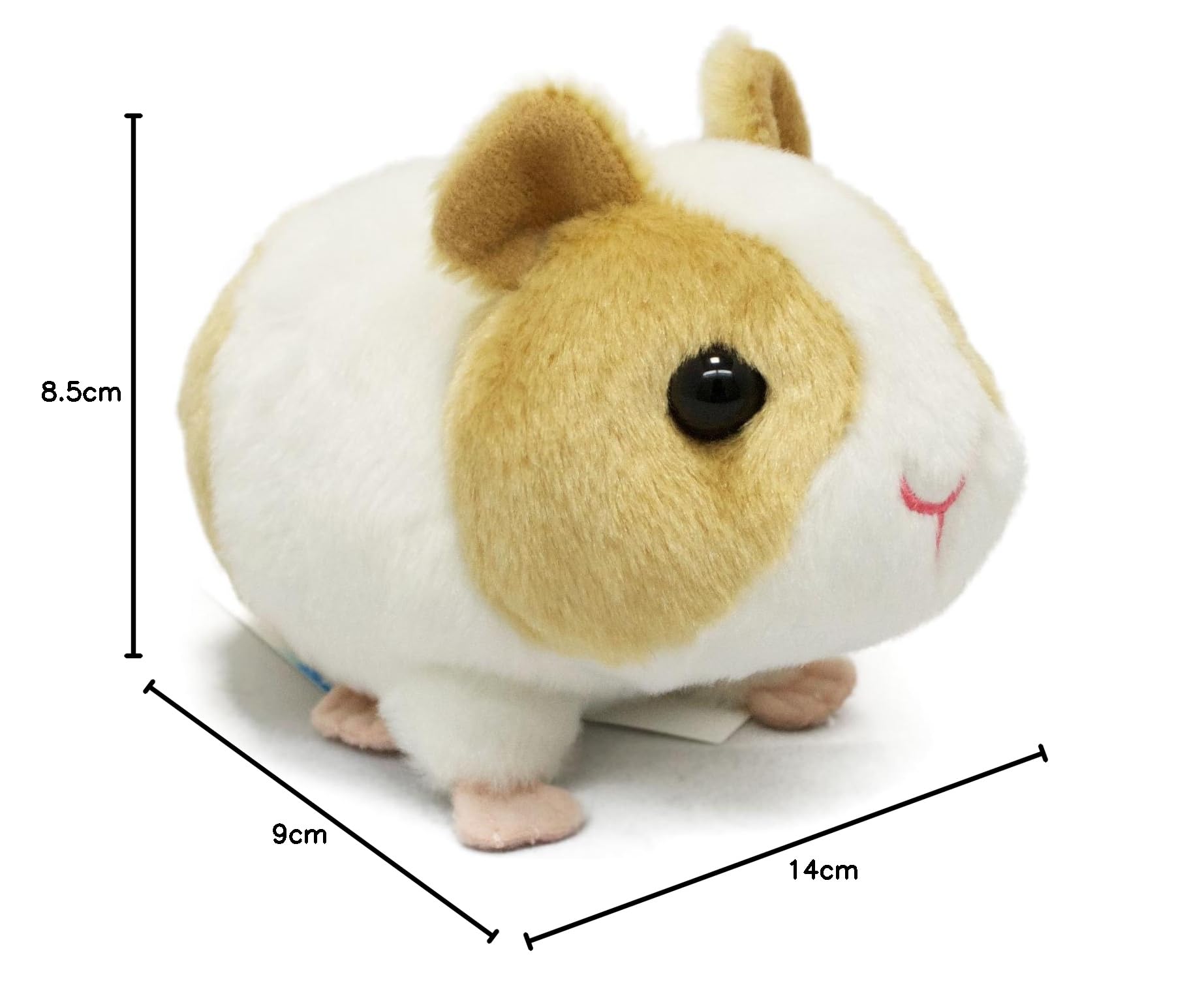 Amazon.co.jp: AQUA ぬいぐるみ ファーム もちもち もるもっと