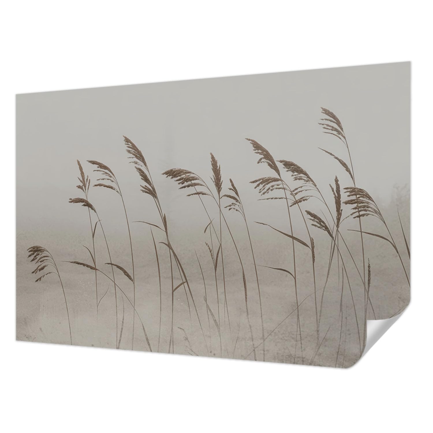 Papier peint de haute qualité résistante aux taches pour intérieur moderne