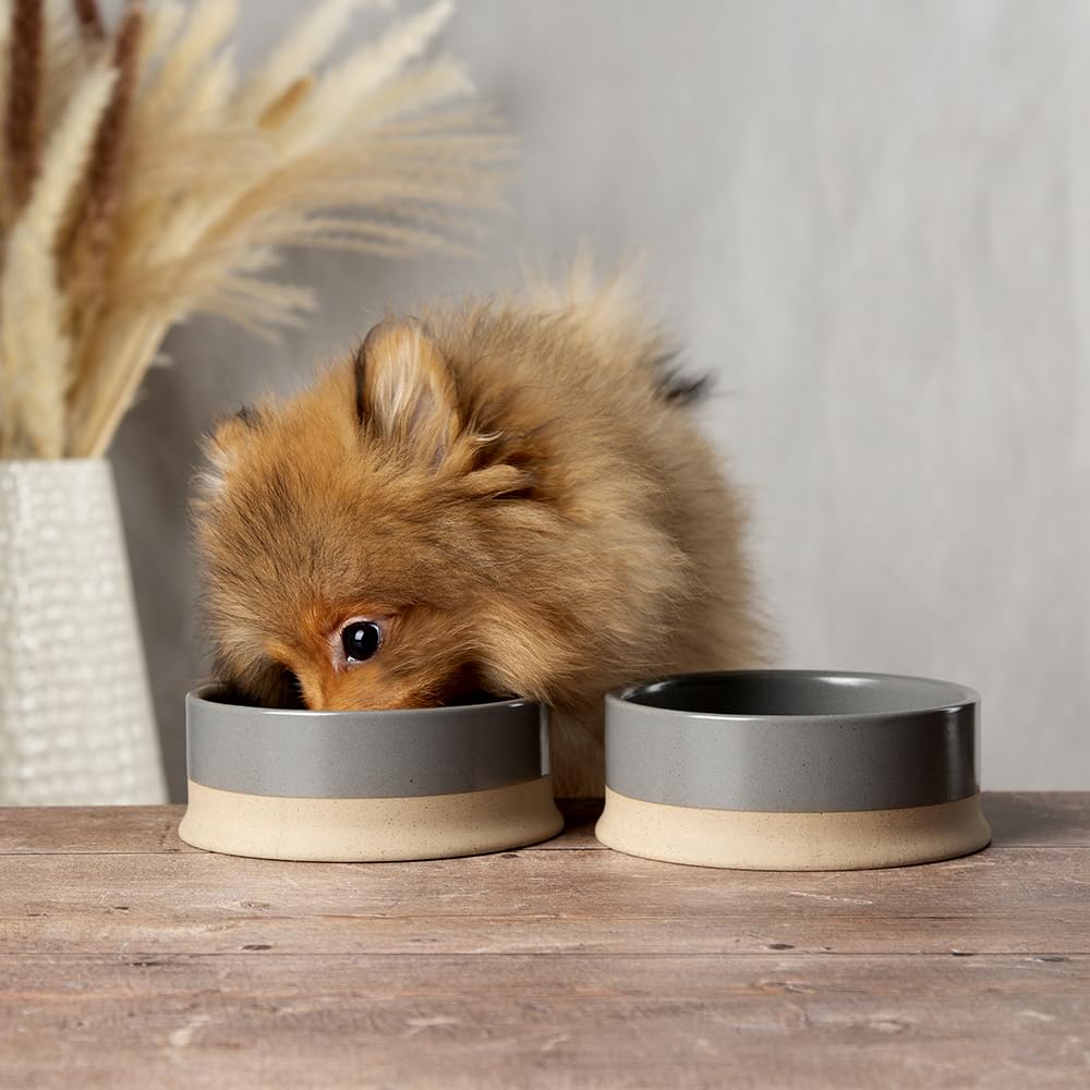 Scruffs Scandi 2 Piece Non Tip Pet Food & Water Bowl - 14cm - Grey