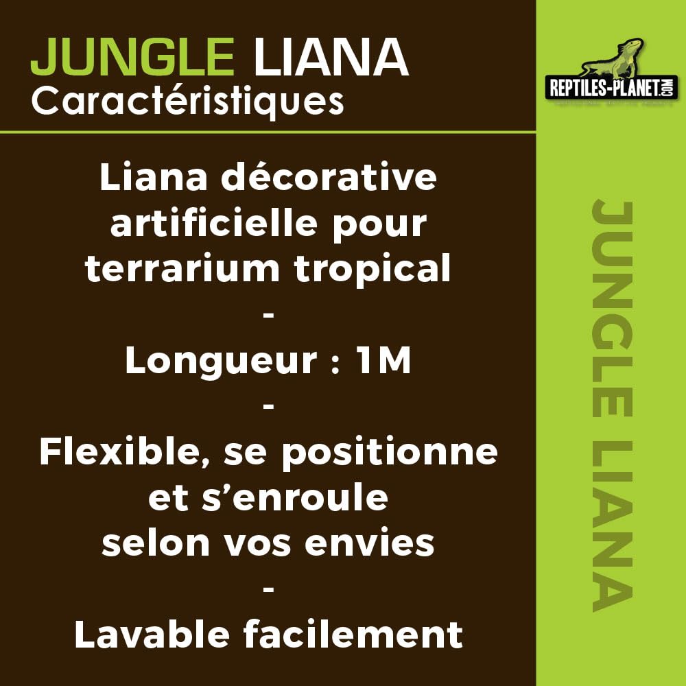 Reptiles Planet - Giungla Liana - Liana Artificiale - Decorazione per Terrario - 1 m