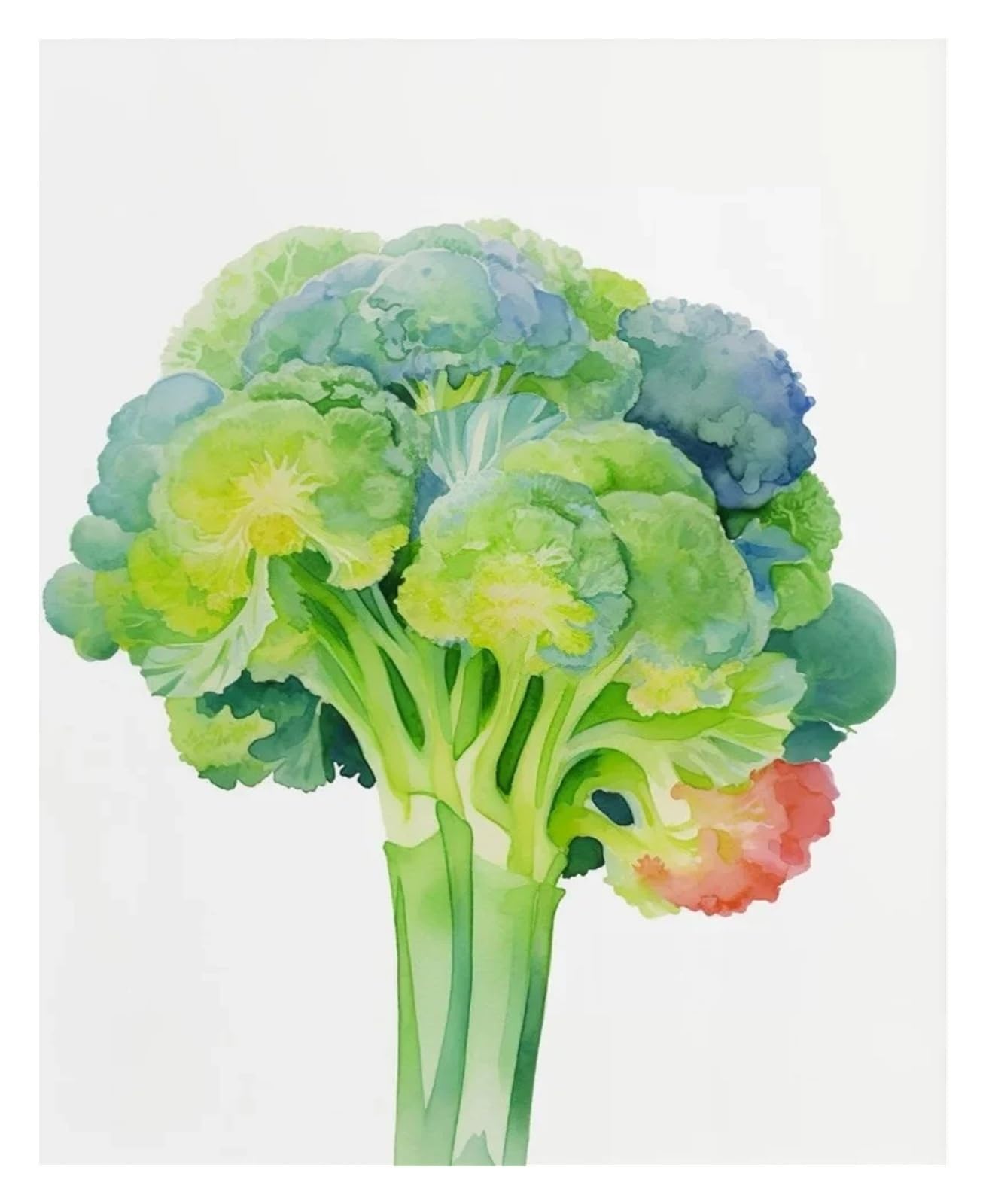 XENITE Wall Art Canvas Prints Cabbage Carrots Eggplant Pumpkin Pepper Broccoli Vegetable Poster Print Wall Art Pictures Canvas Painting Room Home Decor(A,40X50cm)