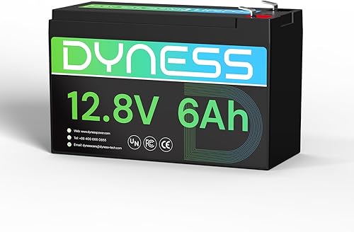 Miniatura 13 de Batería LiFePO4 de 24 V 100 Ah, batería de litio de 25.6 V con potencia de 2560 Wh, BMS integrado de 100 A con protección a baja temperatura,