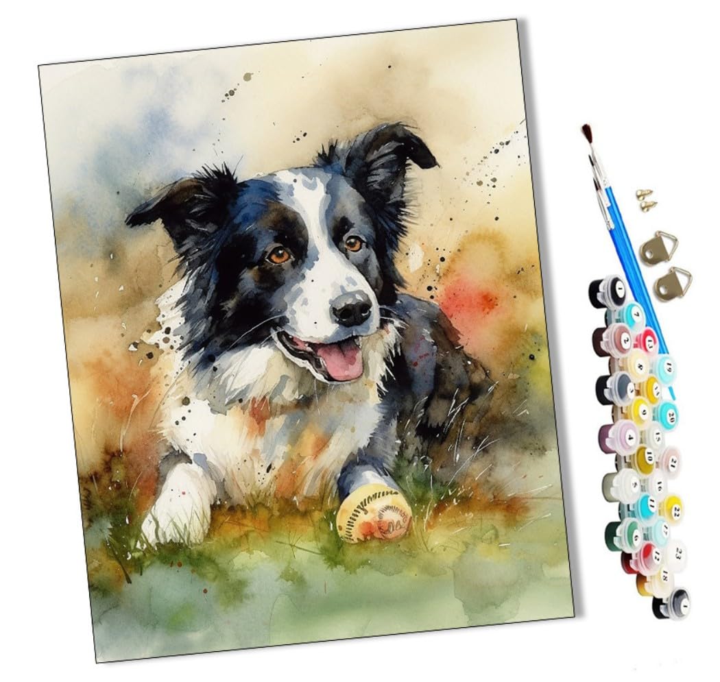 WMZPOY Paints by Numbers for Adult Border Collie Playing Baseball (9) Kits for Beginners Adults DIY Art Decor Hand Painted Painting Creative Gift Home Decoration 16x20 inch Frameless