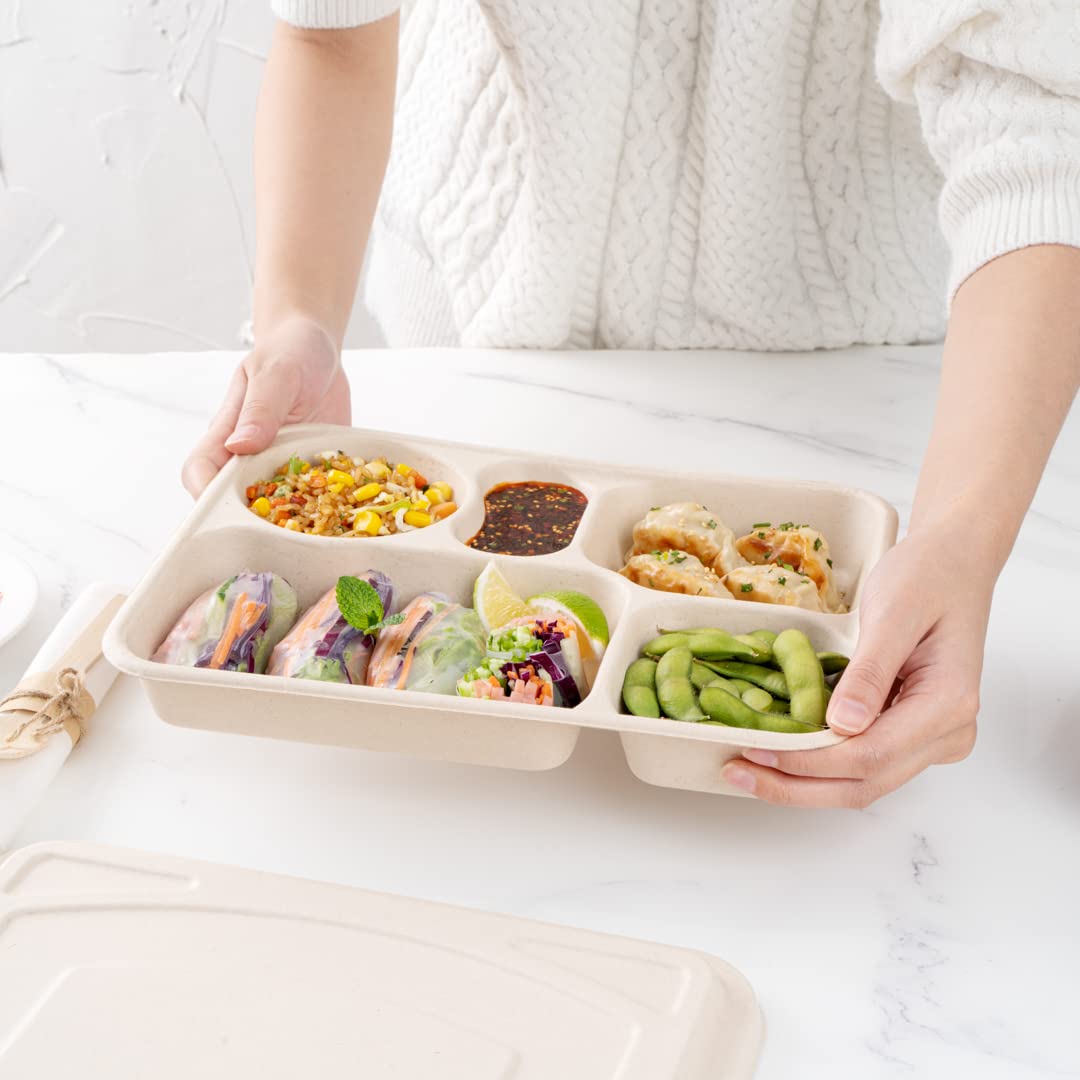 Restaurantware Pulp Tek - Recipientes de 1,219.0 g para llevar, 100 recipientes sostenibles, tapas se venden por separado, 5 compartimentos, platos de bagazo hechos de fibras de caña de azúcar, aptos