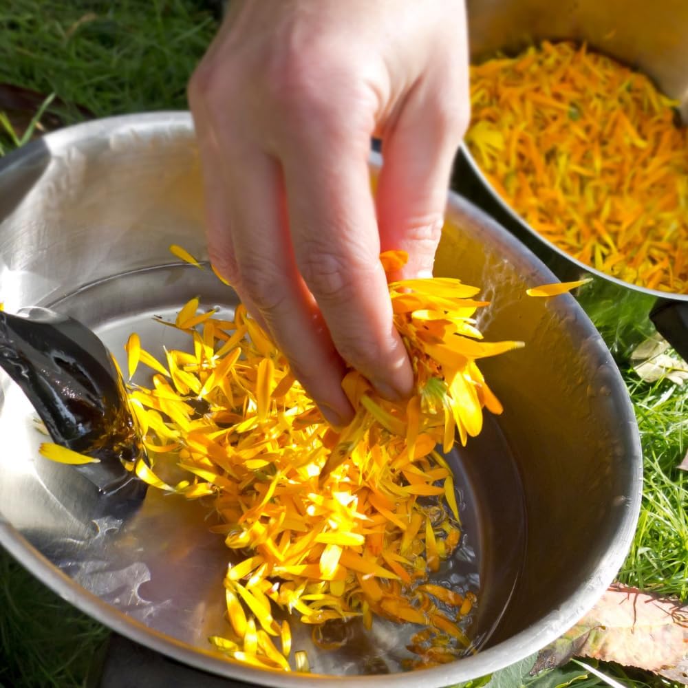 SSF Organics-Calendula Skin Repair Salve | Repair, Relief, and Healing for Damaged Skin | Natural Remedy for Rashes, Irritation, Redness, Swelling, Itchy Dry Skin. 2 oz. - Image 3
