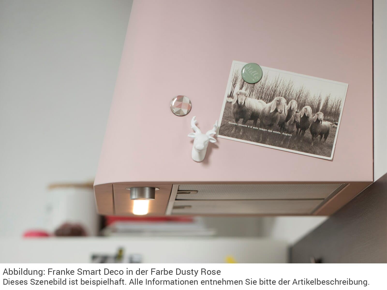 Franke - Campana de cocina que se monta en la pared y hecha de acero inoxidable de Franke Smart Deco Fsmd 508 GN - 335.0530.200