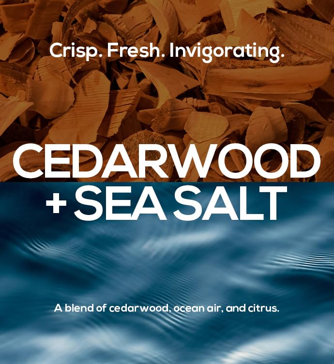 MARLOWE. No. 024 Deodorant 2.5 oz, Jojoba Esters, Coconut Oil, Shea Butter & Tapioca Starch for Odor Protection, Formulated without Aluminum & Baking Soda, Fresh & Zesty Cedarwood + Sea Salt Scent - Image 4