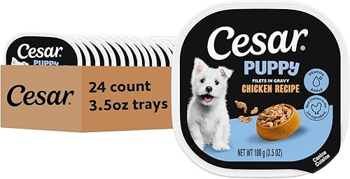 Cesar Puppy Filets in Salsa Alimento húmedo para perros, receta de pollo, bandejas fáciles de pelar, 24 unidades