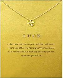 Colar com pingente de bússola para mulheres, amizade, ferradura, boa sorte, elefante com pingente de corrente com cartão de presente