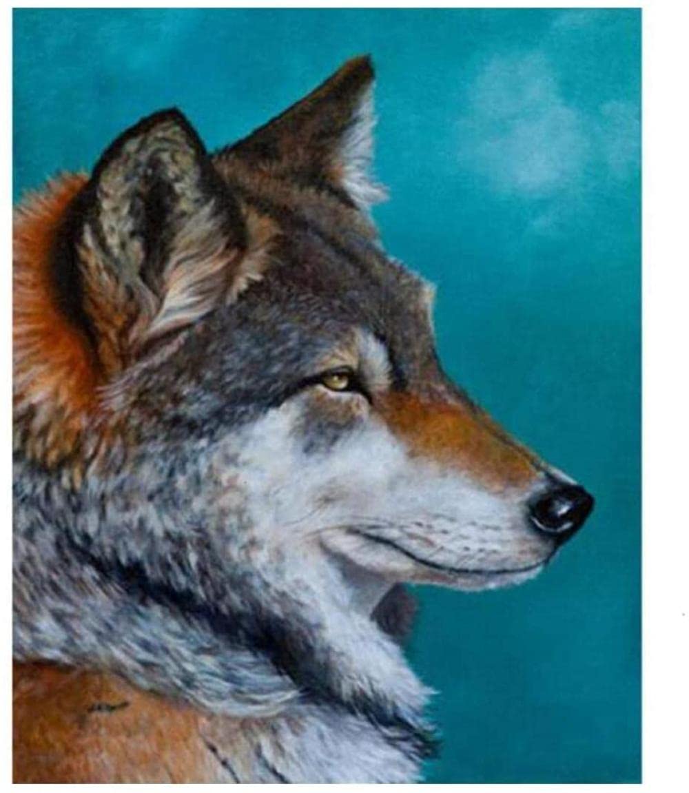 HUIHUI DIY Oil Painting Paint by Number Kit for Kids Wolf Animal Canidae Acrylic Painting Gift Kits Digital Painting Home Decoration for Living Room