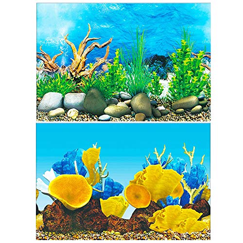 30x62cm ك|X^[ C|X^[ Rc obNXN[ ̏ ʕǎ TS ق̔wi