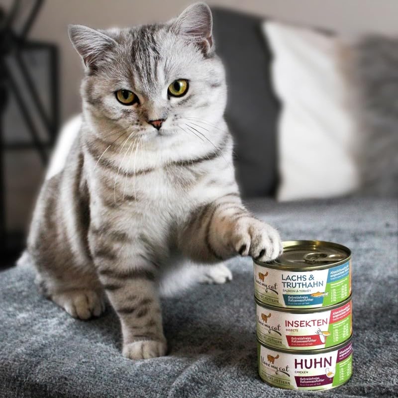 I love my cat NATURAL CAT FOOD Getreidefreies Nassfutter für Katzen mit Insektengeschmack 100 g x 6
