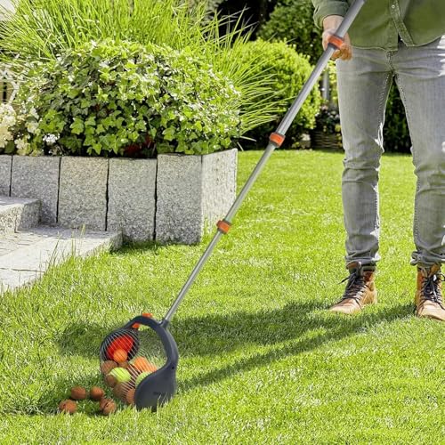 Rouleau collecteur de noix ergonomique pour éviter le mal de dos