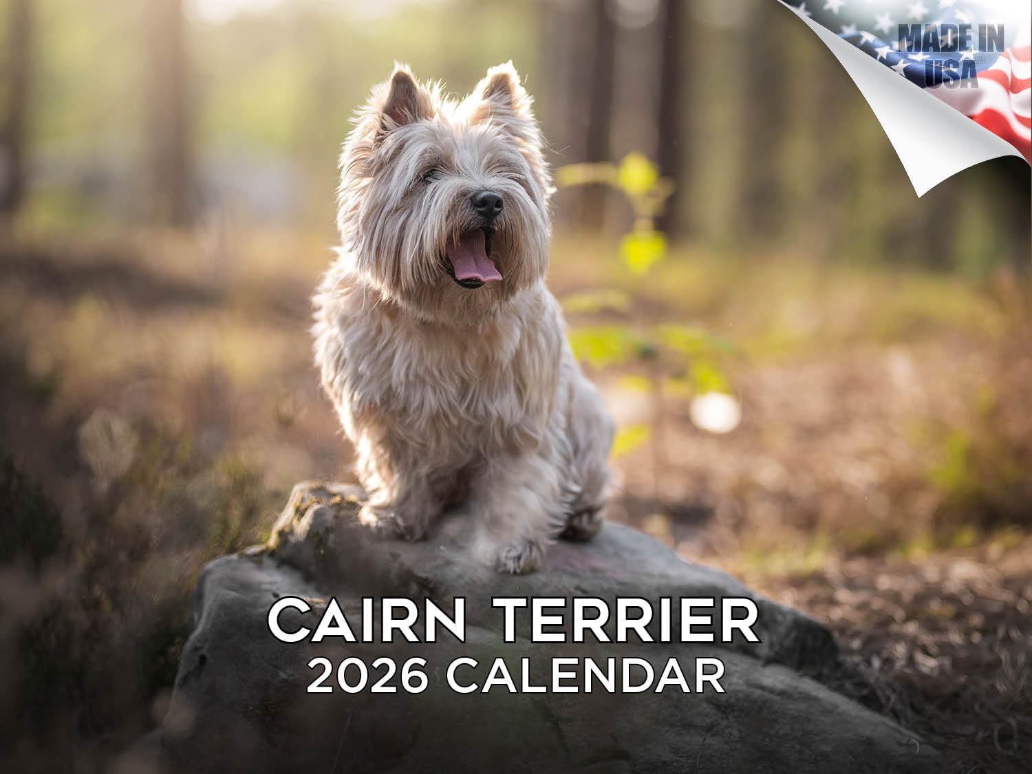 Calendario 2024 2025 Cairn Terrier, calendario mensile da parete con razza di cane, 30,5 x 45,7 cm, aperto, carta spessa senza sbavature, regalo, calendario per insegnanti accademici, organizzazione e