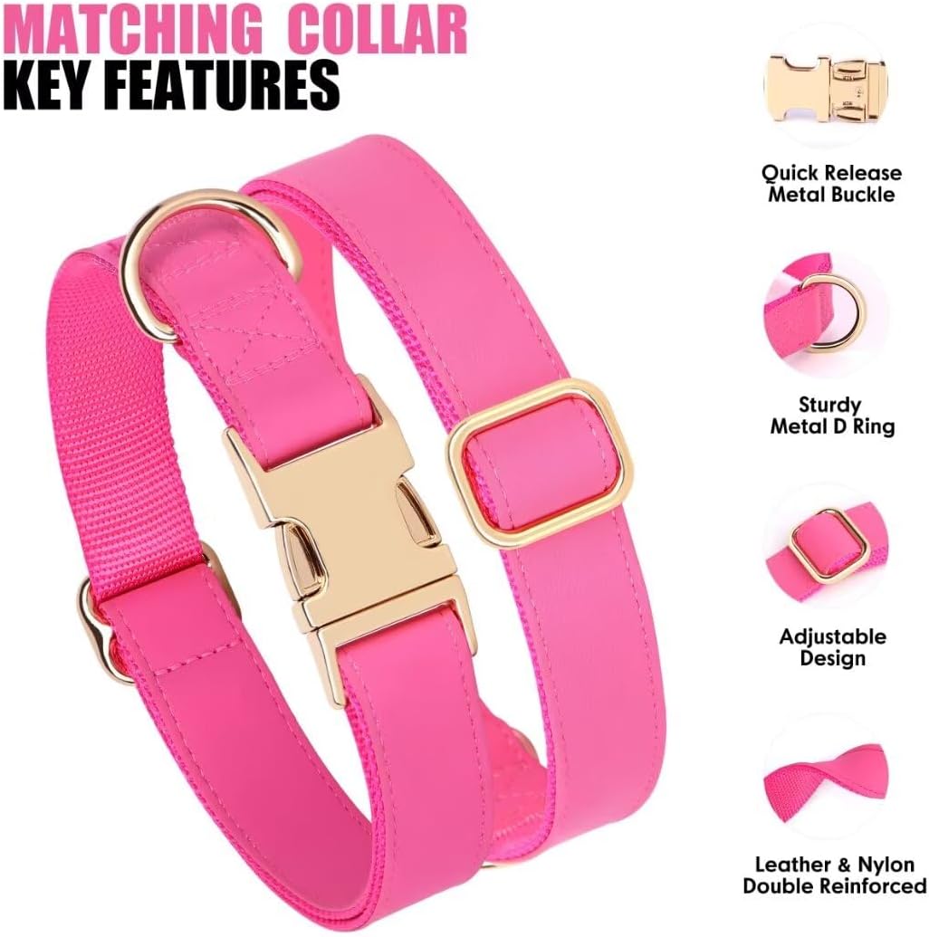 PET ARTIST Soft PU Leather Dog Collar and Leash Set, Bright & Stylish 5FT PU Leather Leash and Collar Set, Durable Pet Collars with Quick Release Metal Buckle for Small Dogs,Hot Pink,S(9"-14")