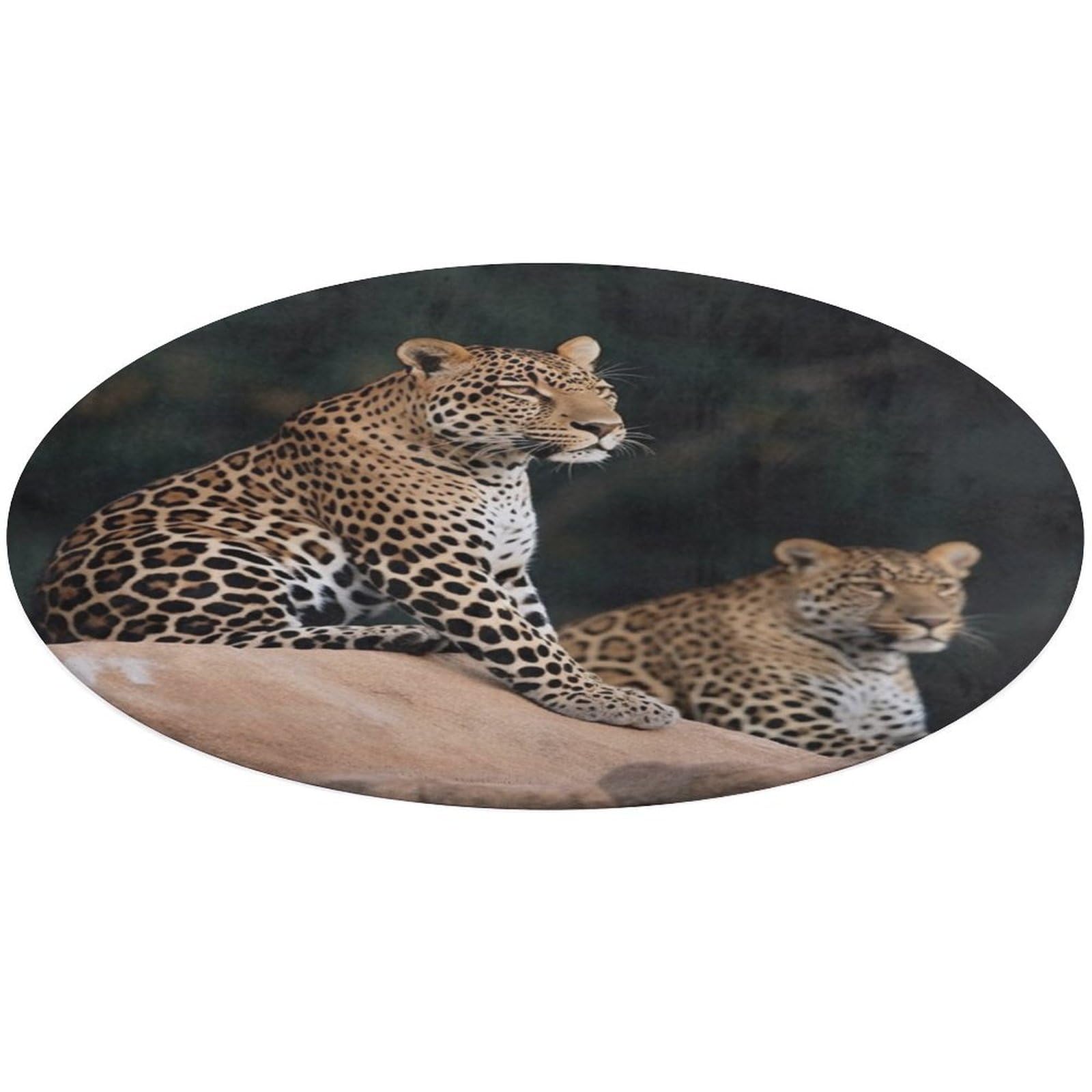 Alfombra pequeña lavable de leopardo: estilo exótico sin preocuparte por las manchas