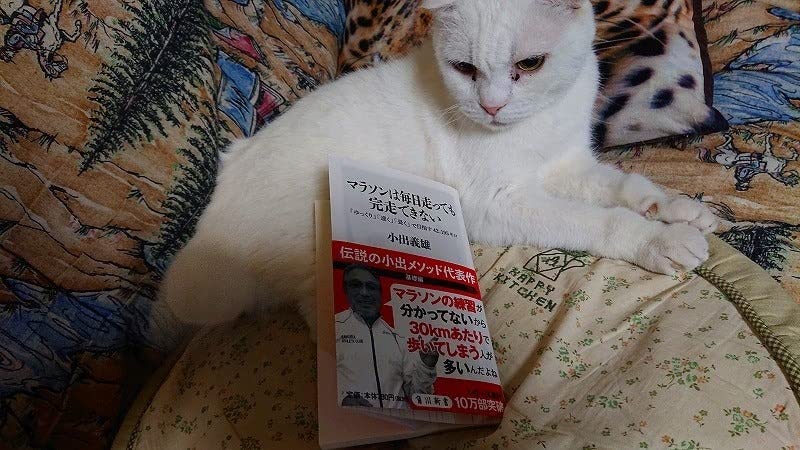 お客様イメージ