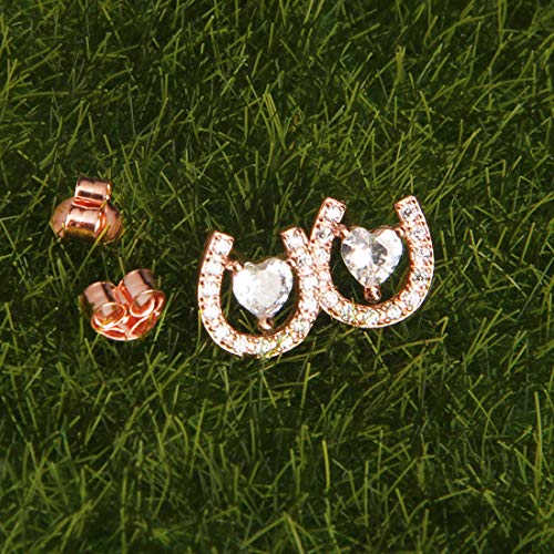 AKTAP Horseshoe Stud Earrings for Fashion Jewelry Crystal Cubic Zirconia Earrings3
