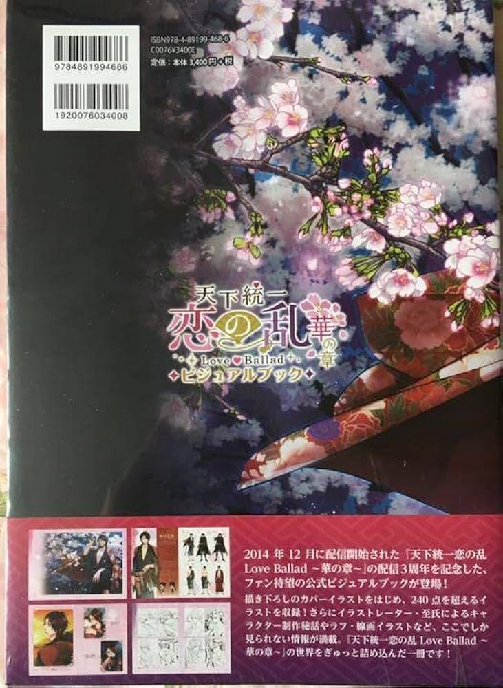 天下統一 恋の乱 DVD &amp; ビジュアルブックセット 天下統一 恋の乱 DVD & ビジュアルブックセット