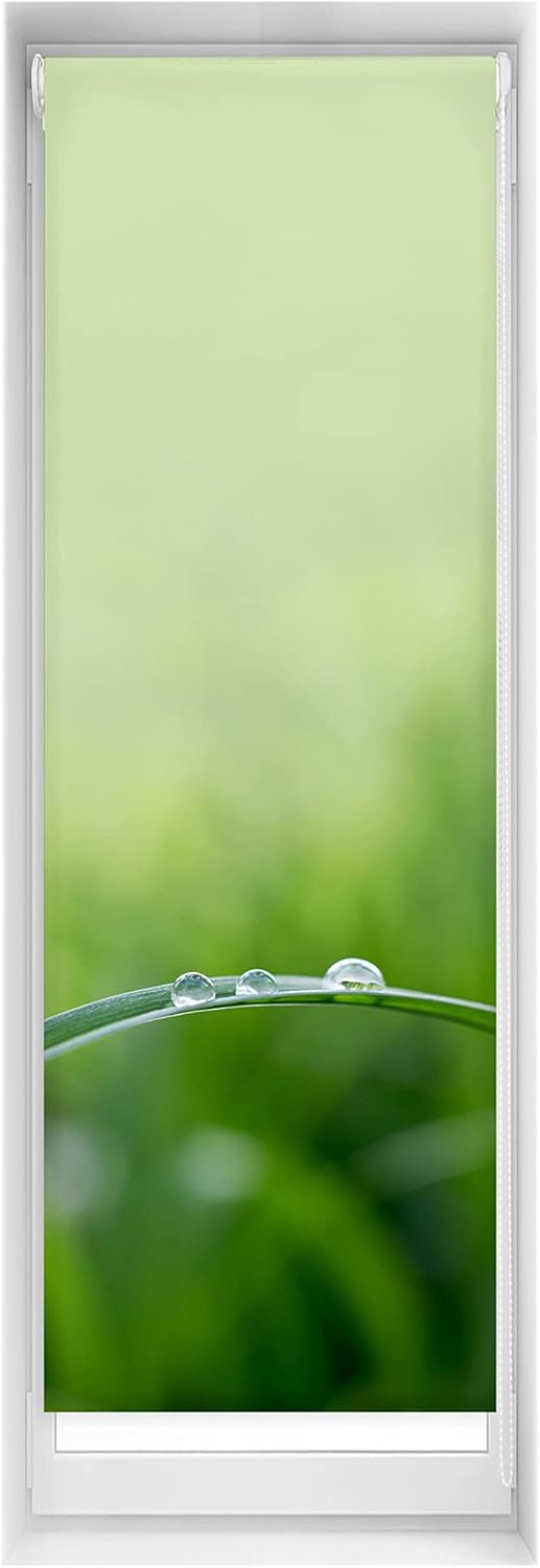 Blindecor Quietud Easy Blind, No Drilling Required, Printed, Translucent, Digital Print, 55 x 150 cm (Width x Height), Fabric Dimensions 52 x 145 cm