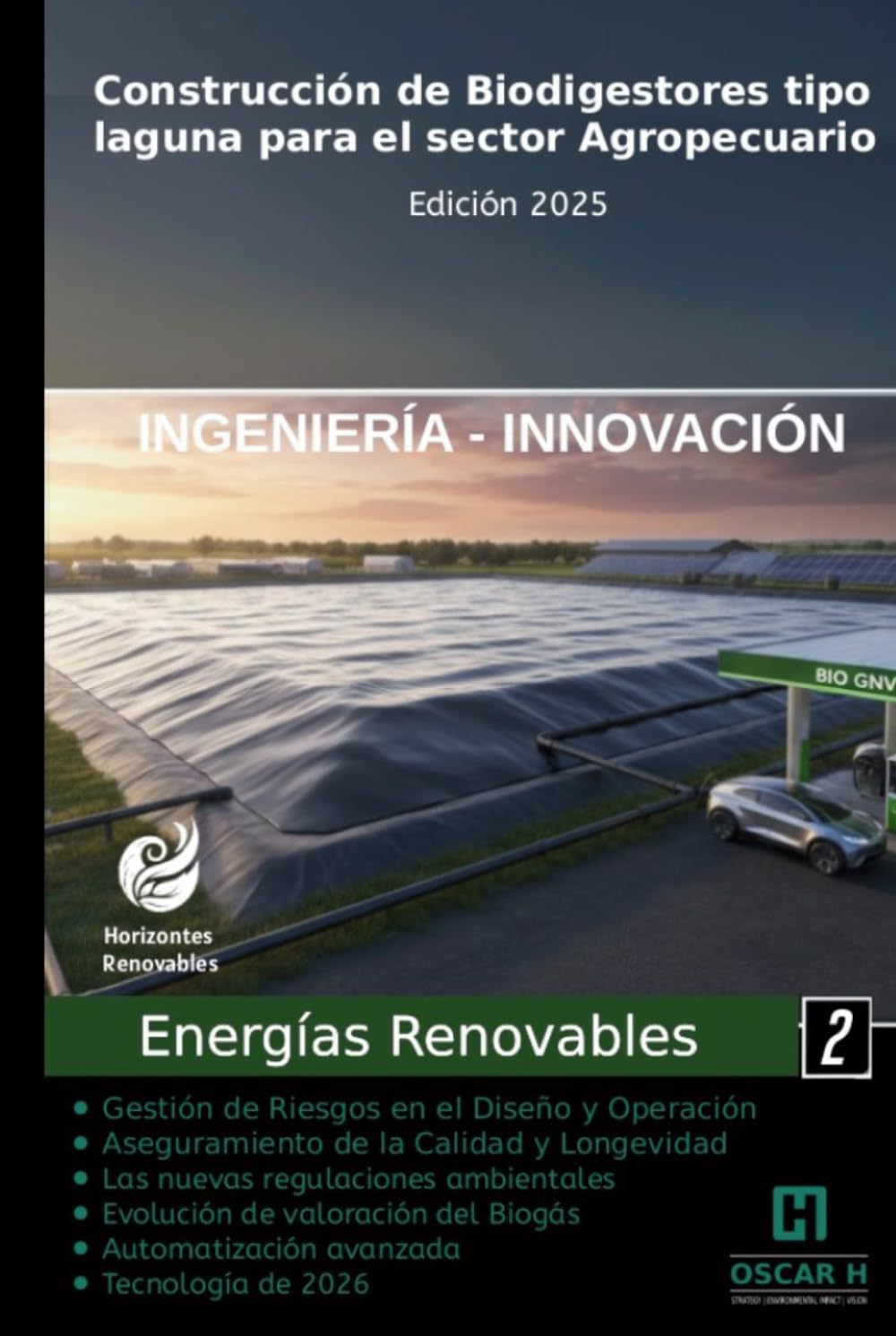 Construcción de Biodigestores tipo laguna para el sector agropecuario: energias renovables