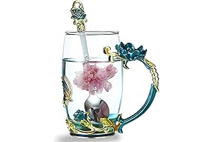 Kingrol 12 oz Glass Teacup with Spoon