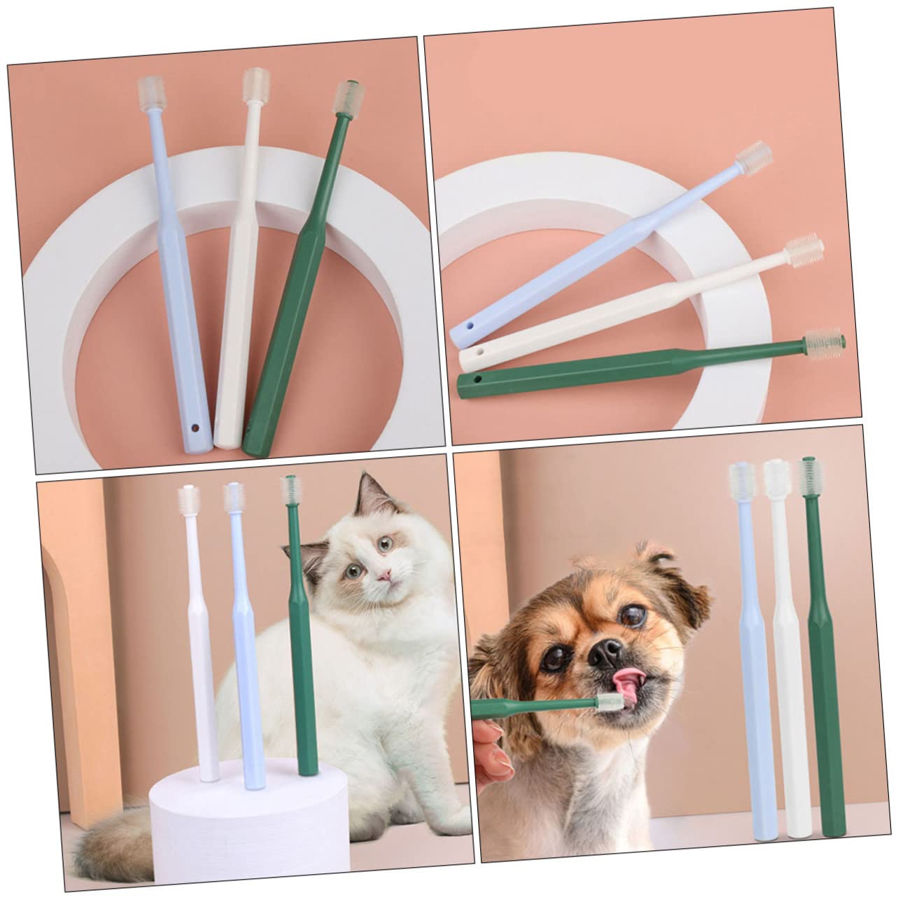 Angoily 8pezzi Spazzolino Portatile Per Animali Domestici Per Pulizia Orale Di Cani e Gatti Testina Piccola Per Accesso Profondo e Comfort Ottimale Materiali Leggeri e Resistente Adatto