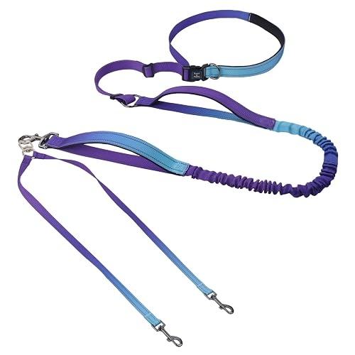 Roses&Poetry Hands Free Double Dog Leash for Two Dogs