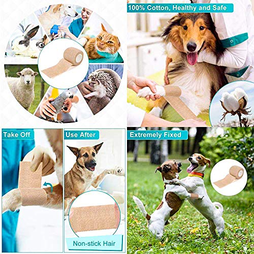 12 Pack Self Adherent Cohesive Bandage Wrap, 2” x 5 Yards, Stretch Self-Adherent Tape - Athletic Elastic Cohesive Bandage - for First Aid Medical, Sports, Ankle, Wrist Sprains - Thumbnail 3