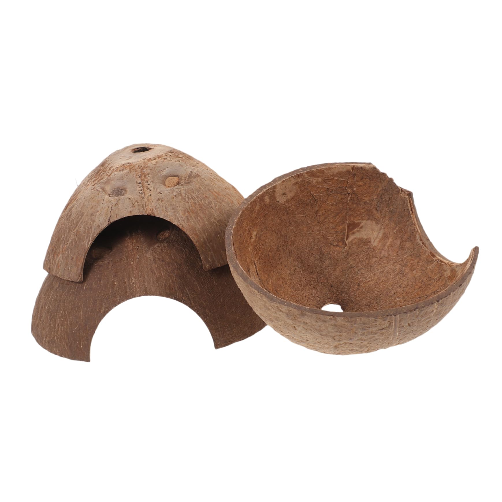 minkissy 15 Reptiles escondidos de Cuevas, decoración Decorativa de terrario, escondite de Reptiles, escondite de Reptiles, escondite de Lagarto, pequeños recipientes de Vidrio de Concha de, Caja